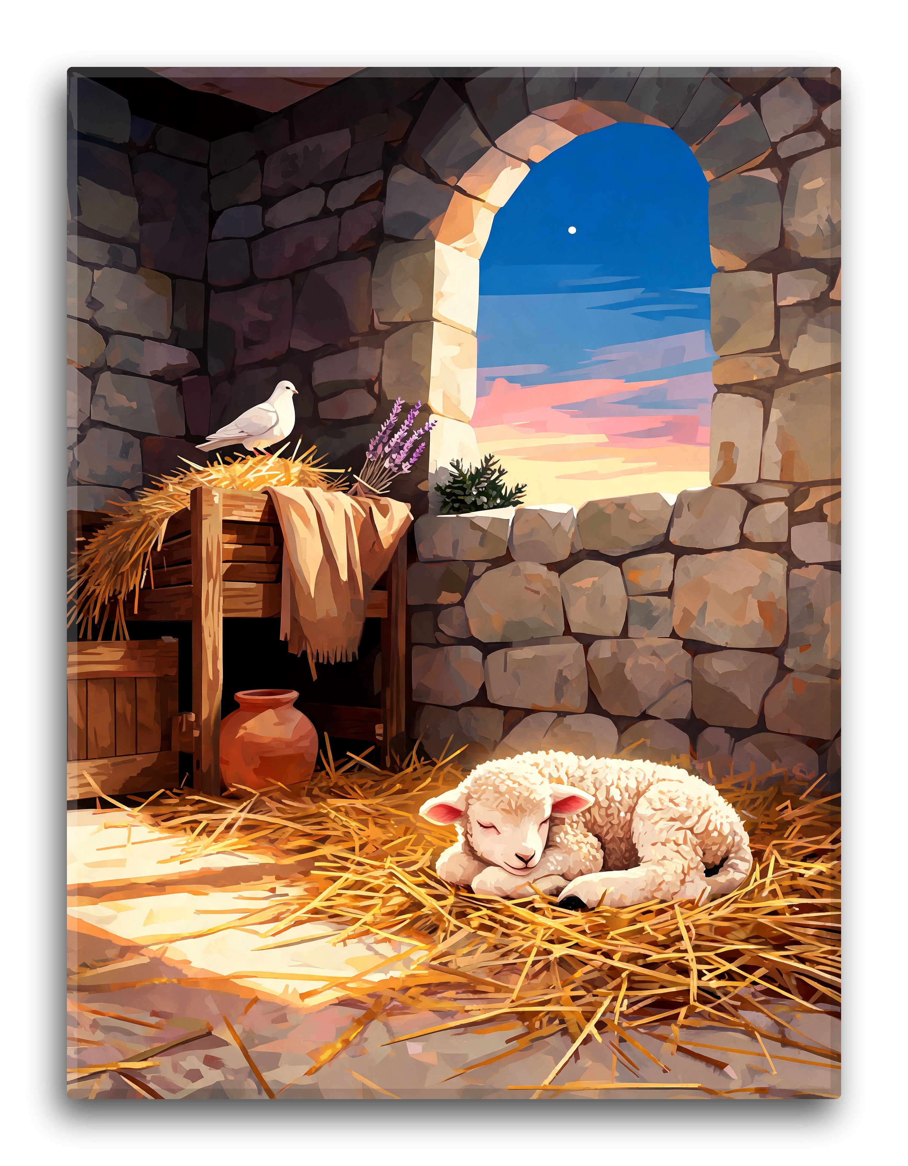 Sheltered Stable Lamb