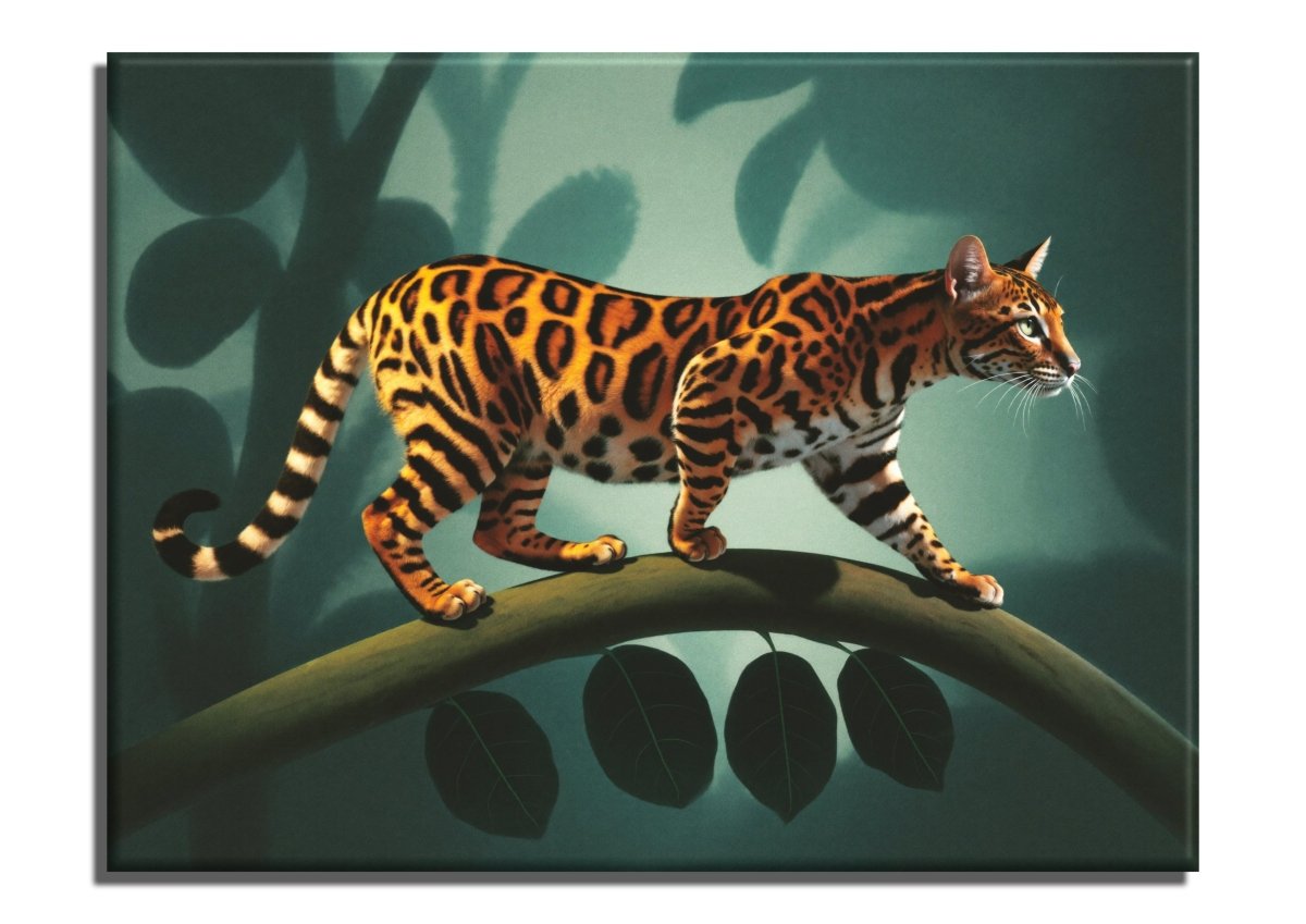 Single Bengal - Escape by Numbers