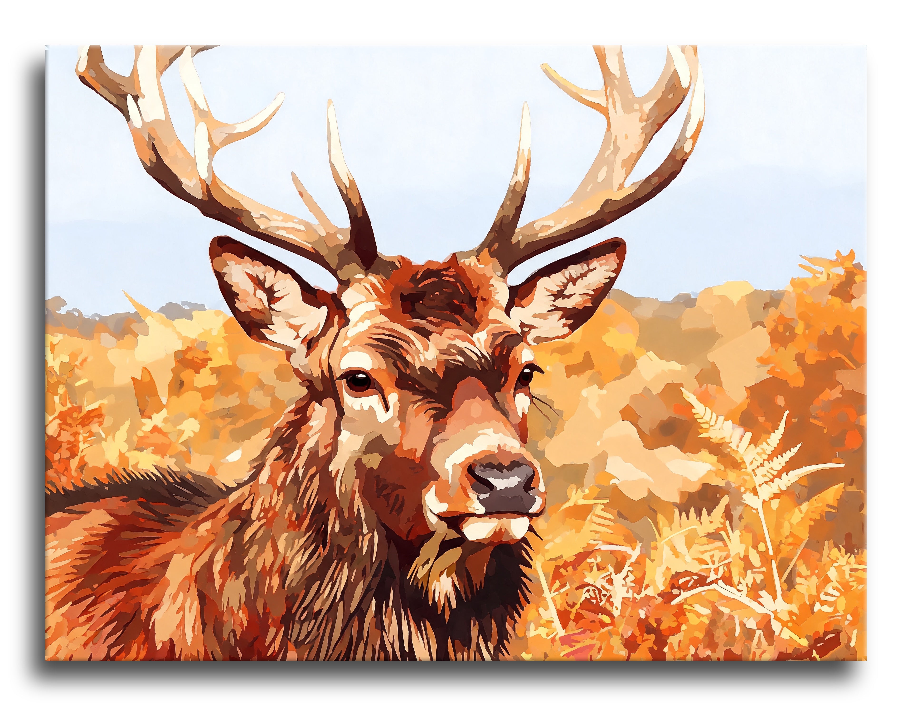 Highland Stag Portrait - Escape by Numbers