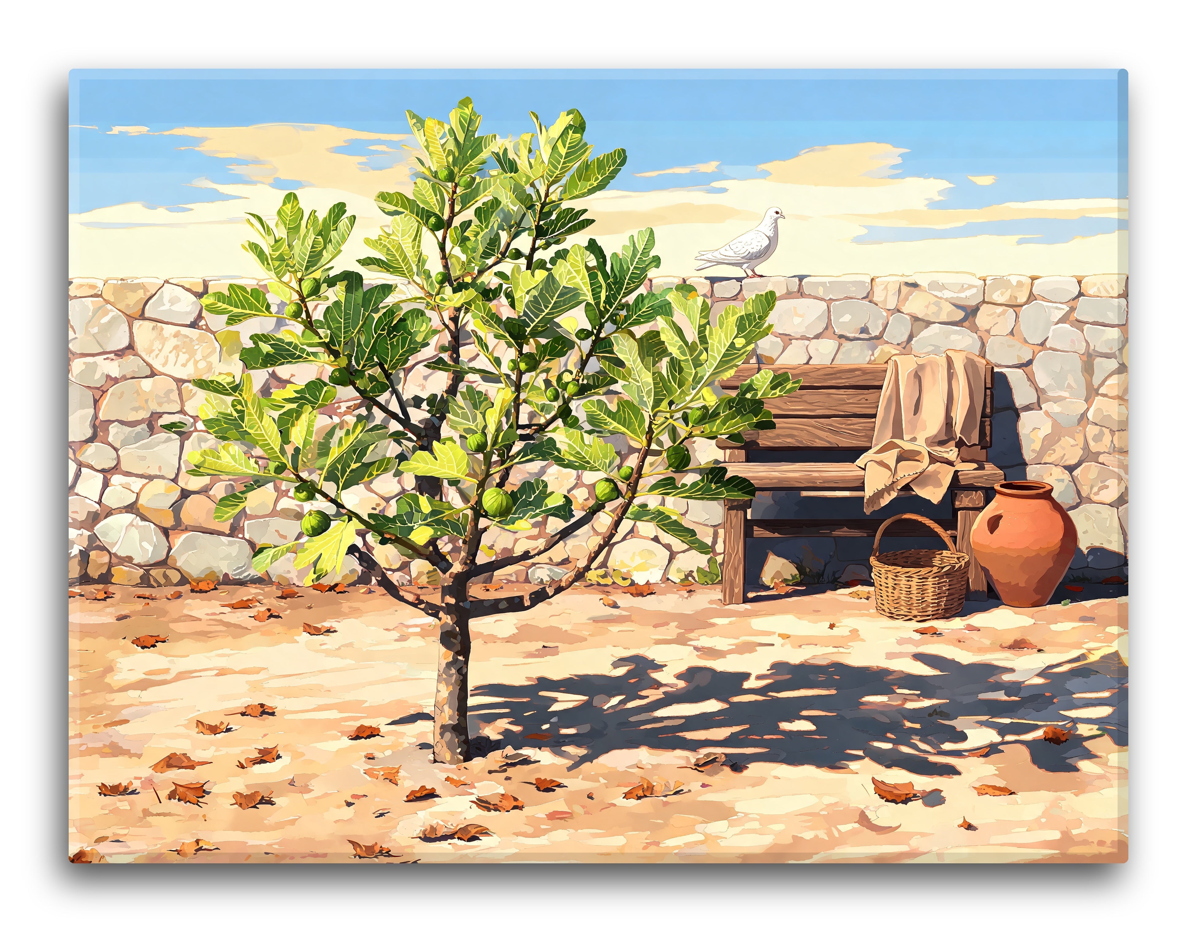 Stone Wall Fig